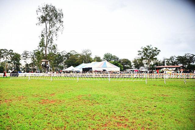 DSC 0465