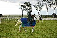 DSC 0180