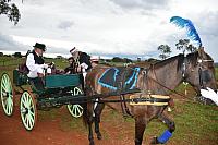 DSC 0334